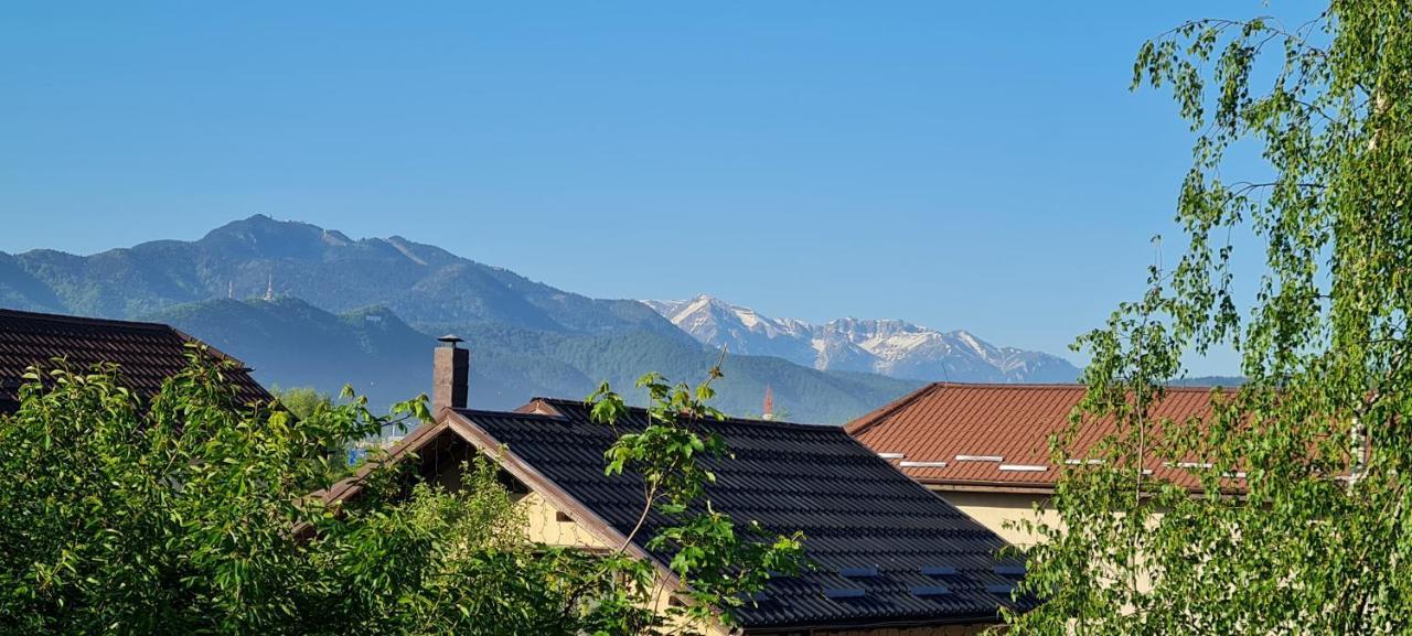 SînpetruCasa Aryan公寓 外观 照片