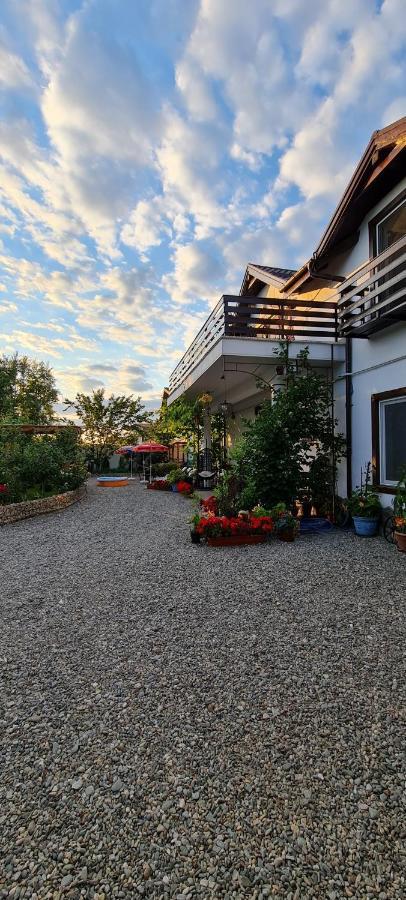 SînpetruCasa Aryan公寓 外观 照片