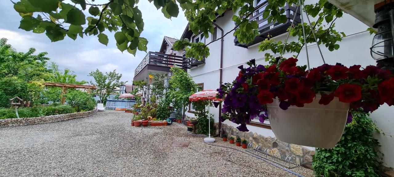 SînpetruCasa Aryan公寓 外观 照片