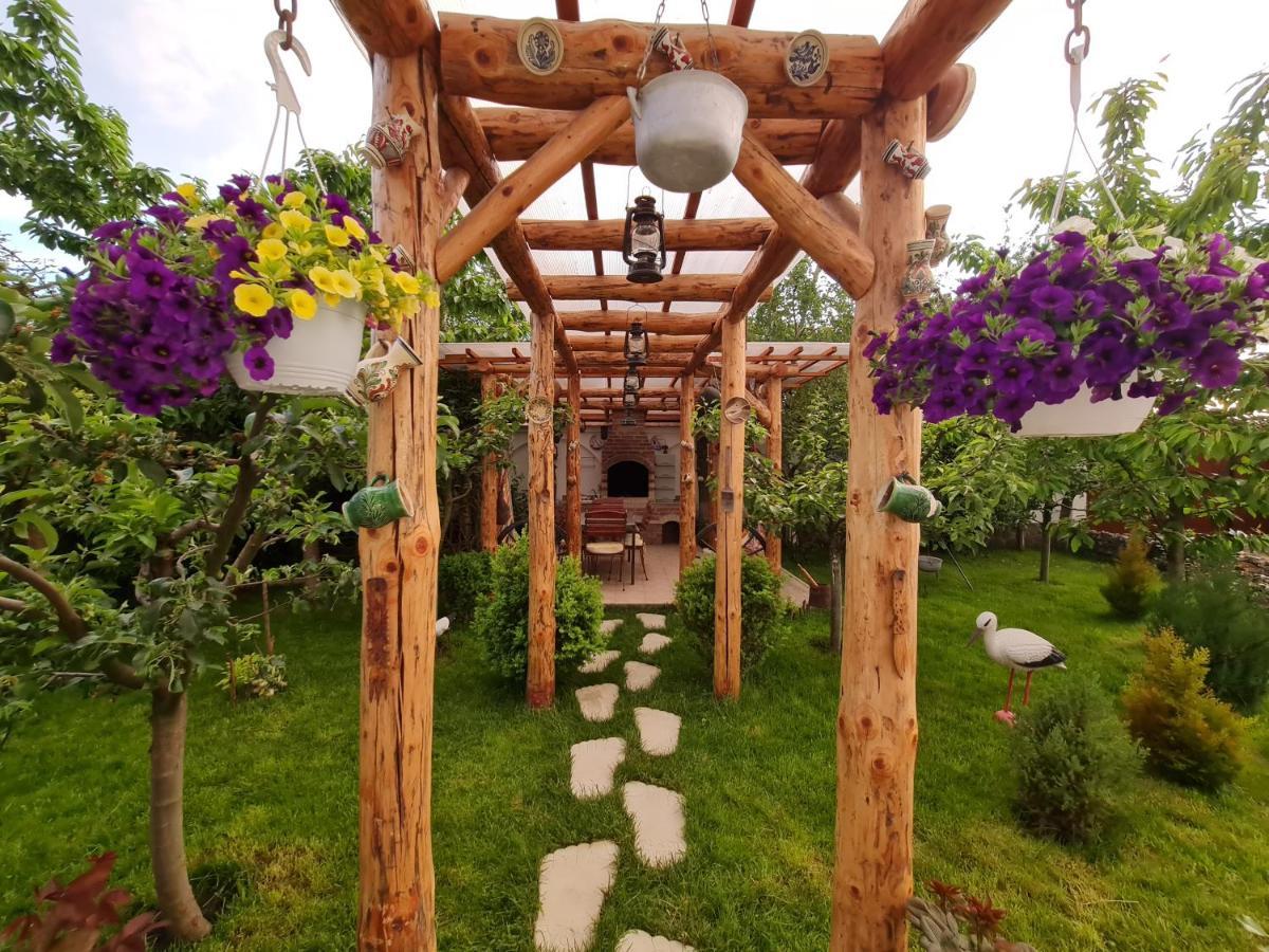 SînpetruCasa Aryan公寓 外观 照片