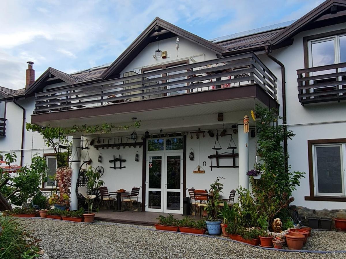SînpetruCasa Aryan公寓 外观 照片