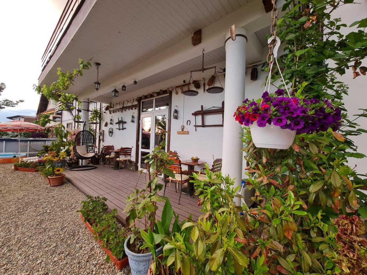 SînpetruCasa Aryan公寓 外观 照片