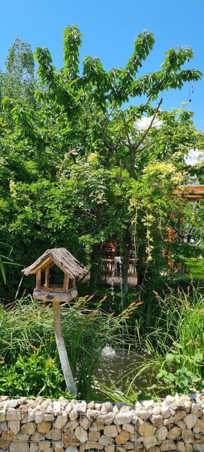 SînpetruCasa Aryan公寓 外观 照片
