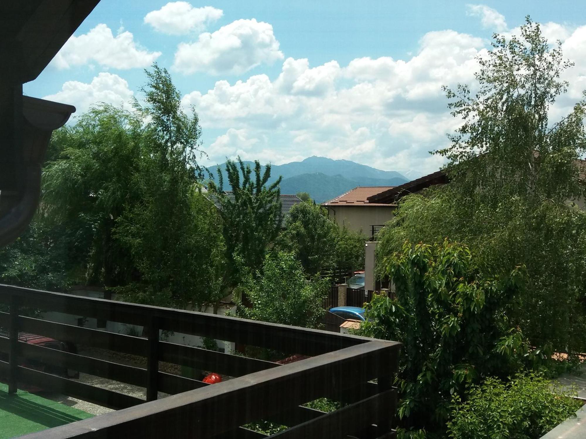 SînpetruCasa Aryan公寓 外观 照片